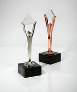Silver and Bronze Stevie Awards