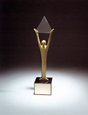Stevie Award