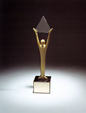 stevieaward