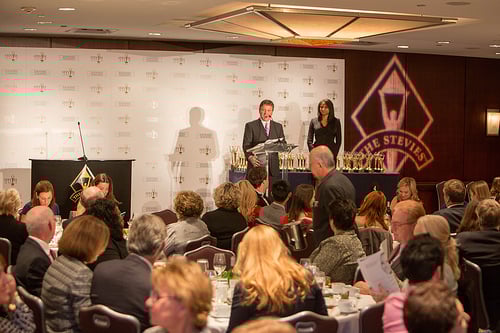 2013 Stevie Awards for Women in Business