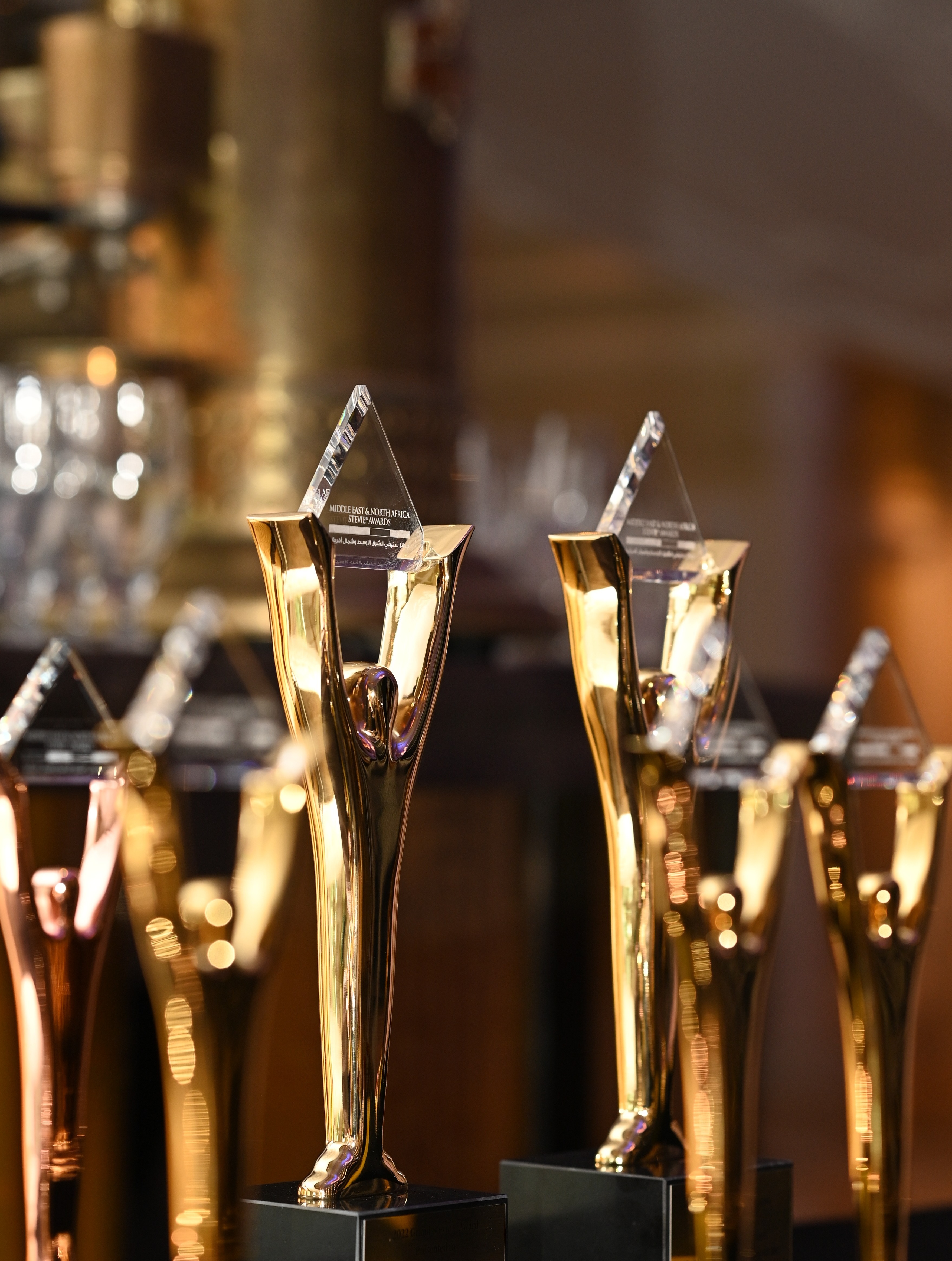 52098699250_dcedd78800_o