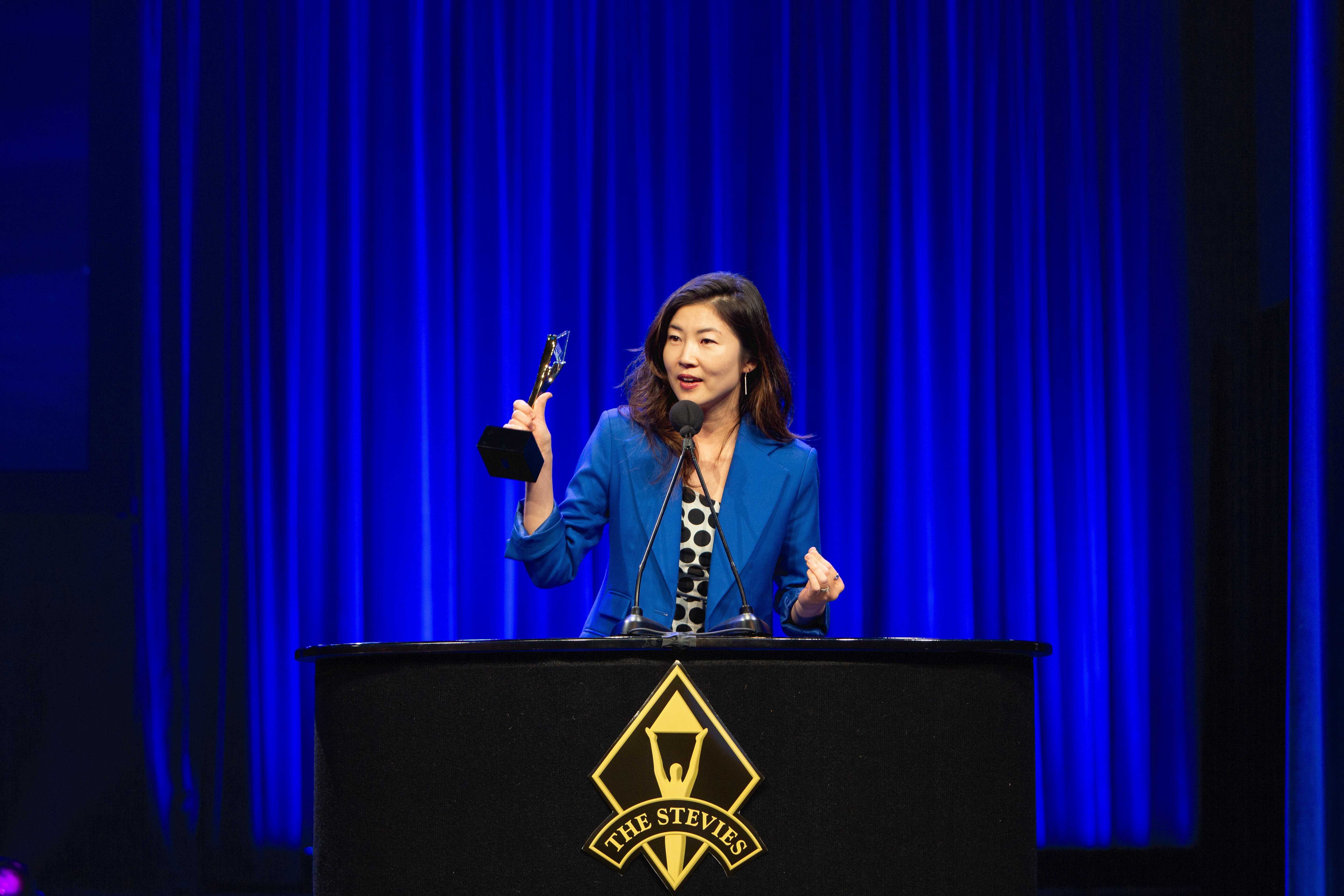 The 2025 Stevie® Awards for Technology Excellence is Accepting Nominations